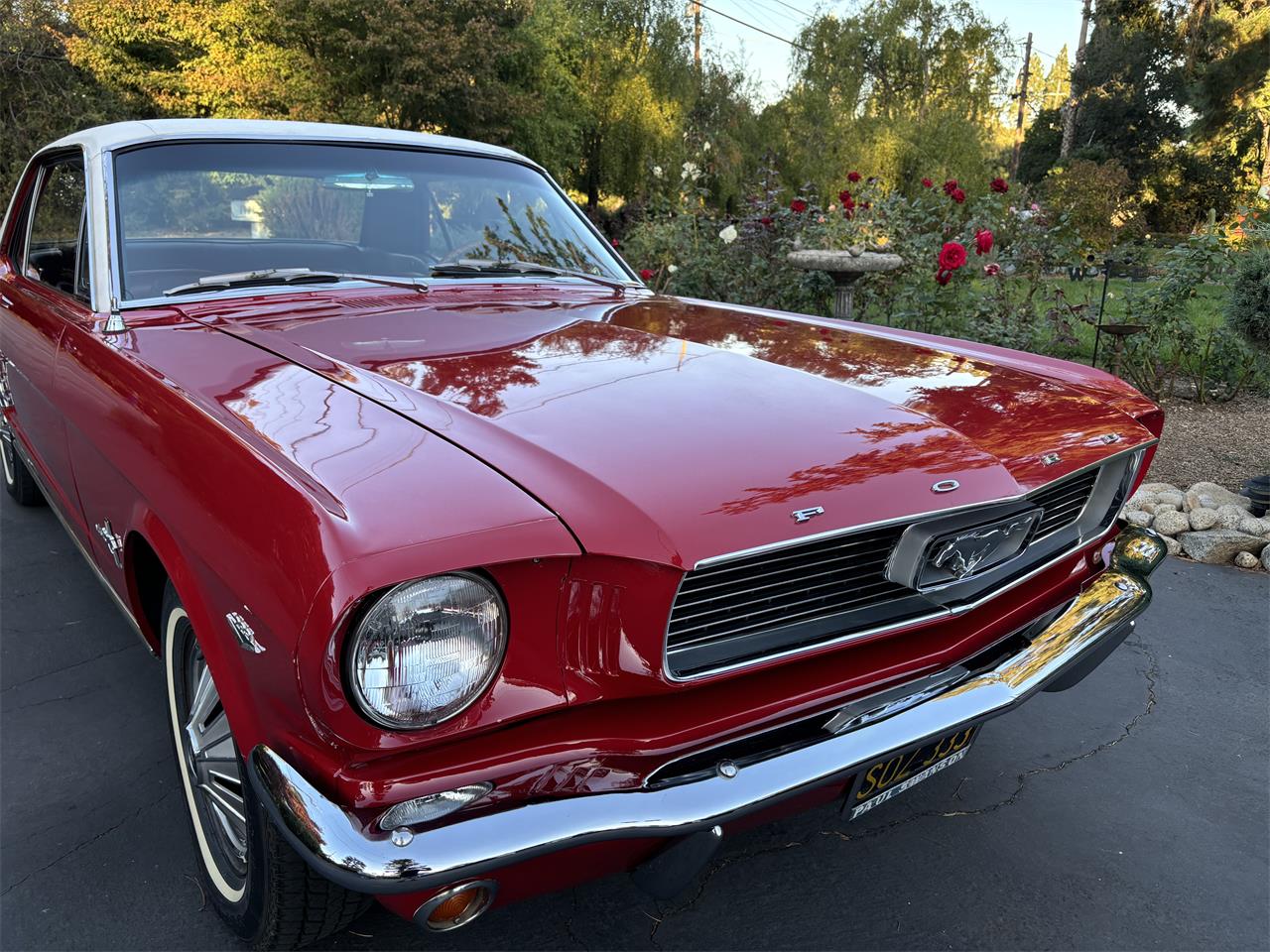 Ford-Mustang-1966-Candyapple-Red-T-Red-25A-3