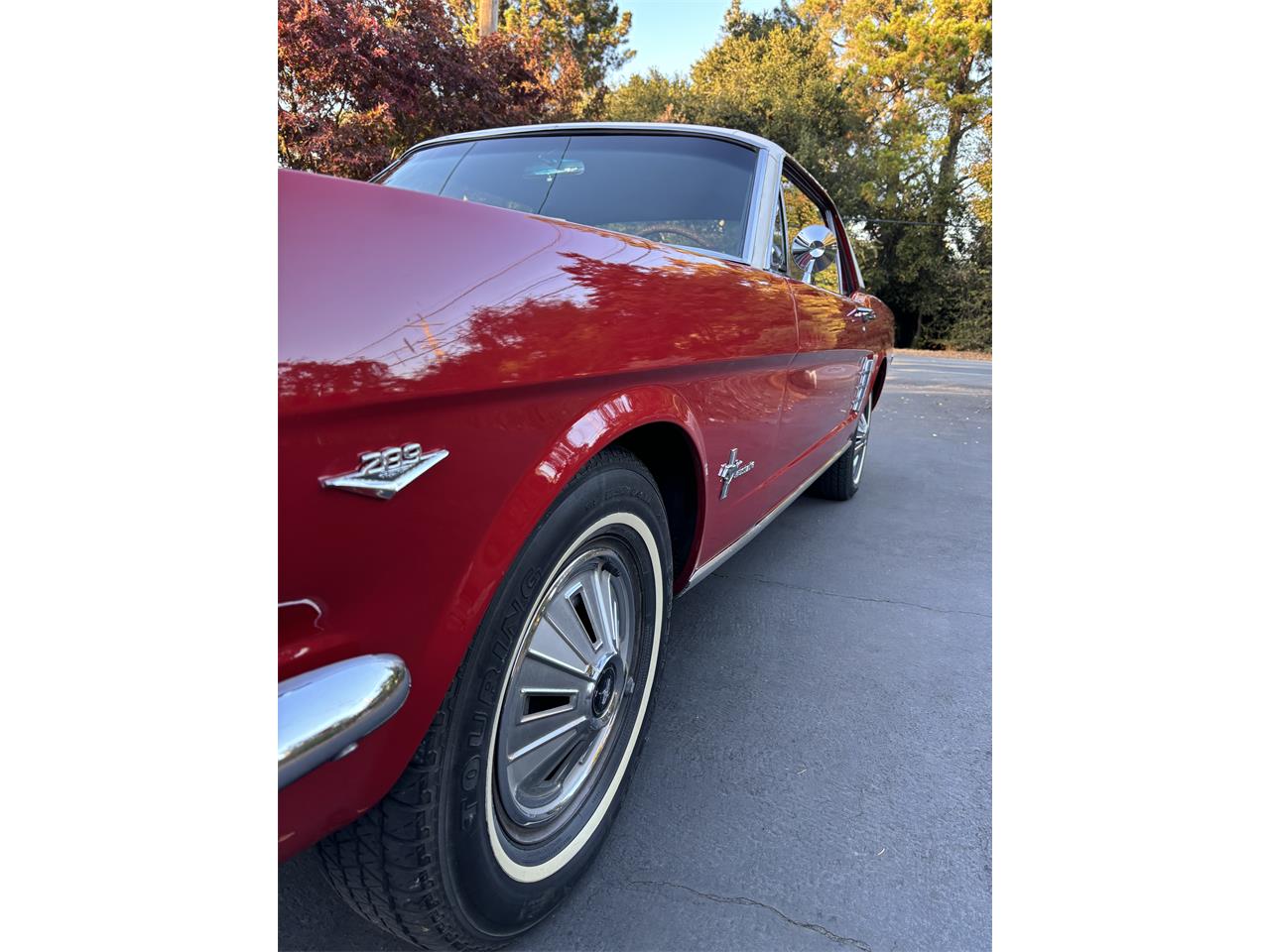 Ford-Mustang-1966-Candyapple-Red-T-Red-25A-7