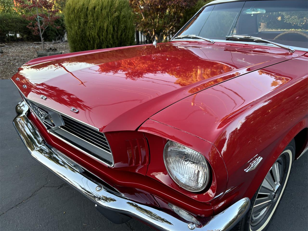Ford-Mustang-1966-Candyapple-Red-T-Red-25A-8
