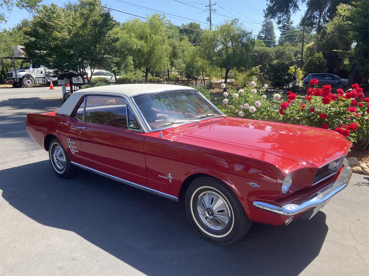Ford-Mustang-1966-Candyapple-Red-T-Red-25A