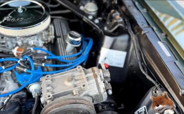 Ford-Mustang-1966-Coupe-18