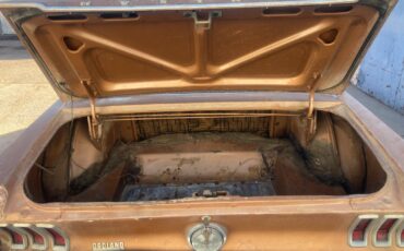 Ford-Mustang-1967-17