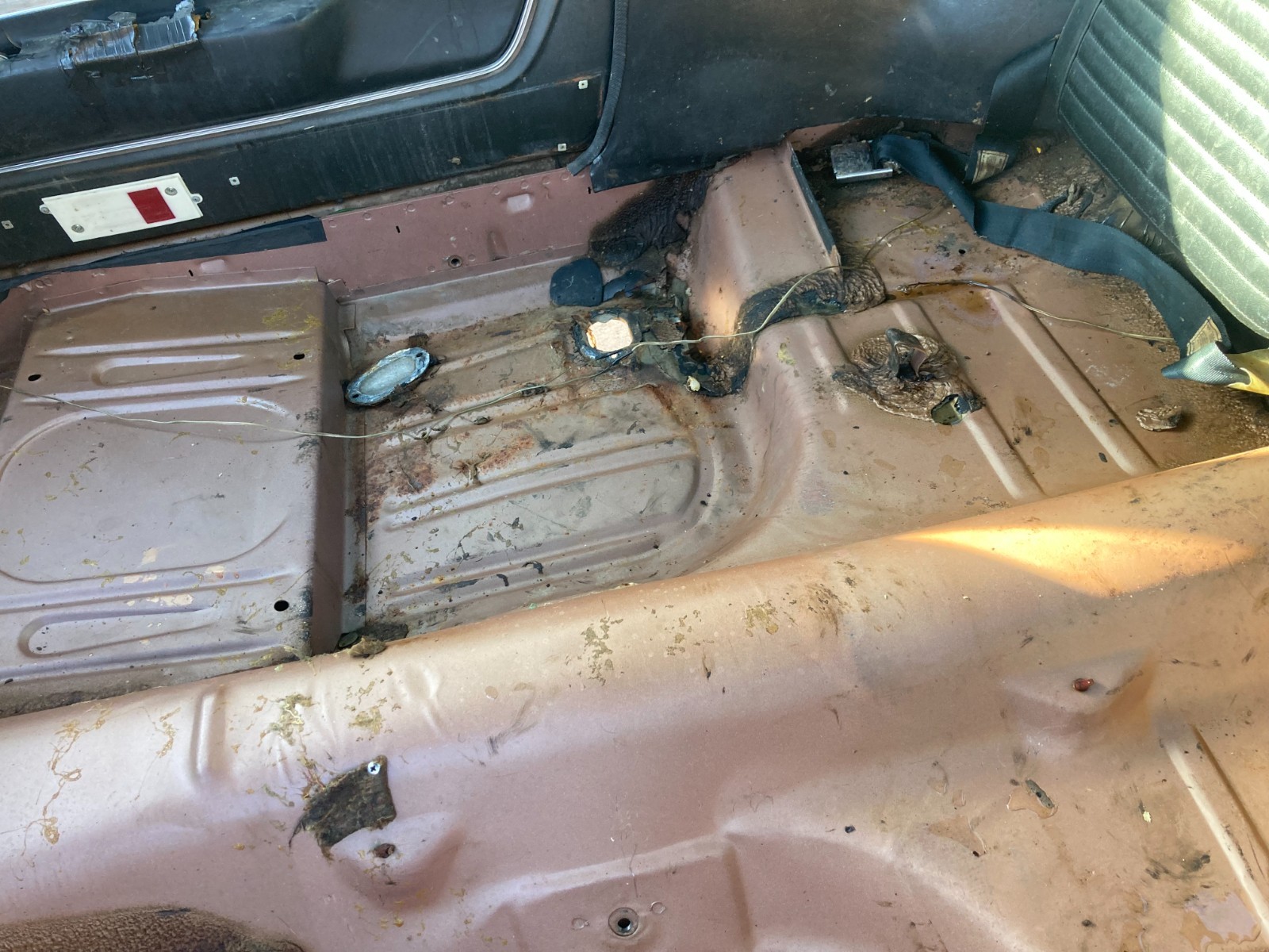 Ford-Mustang-1967-33