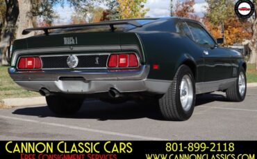 Ford-Mustang-1971-11