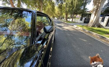 Ford-Mustang-1971-Coupe-13