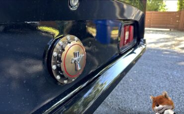 Ford-Mustang-1971-Coupe-16