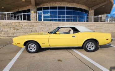 Ford-Mustang-1973-Convertible