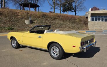 Ford-Mustang-1973-Convertible-36
