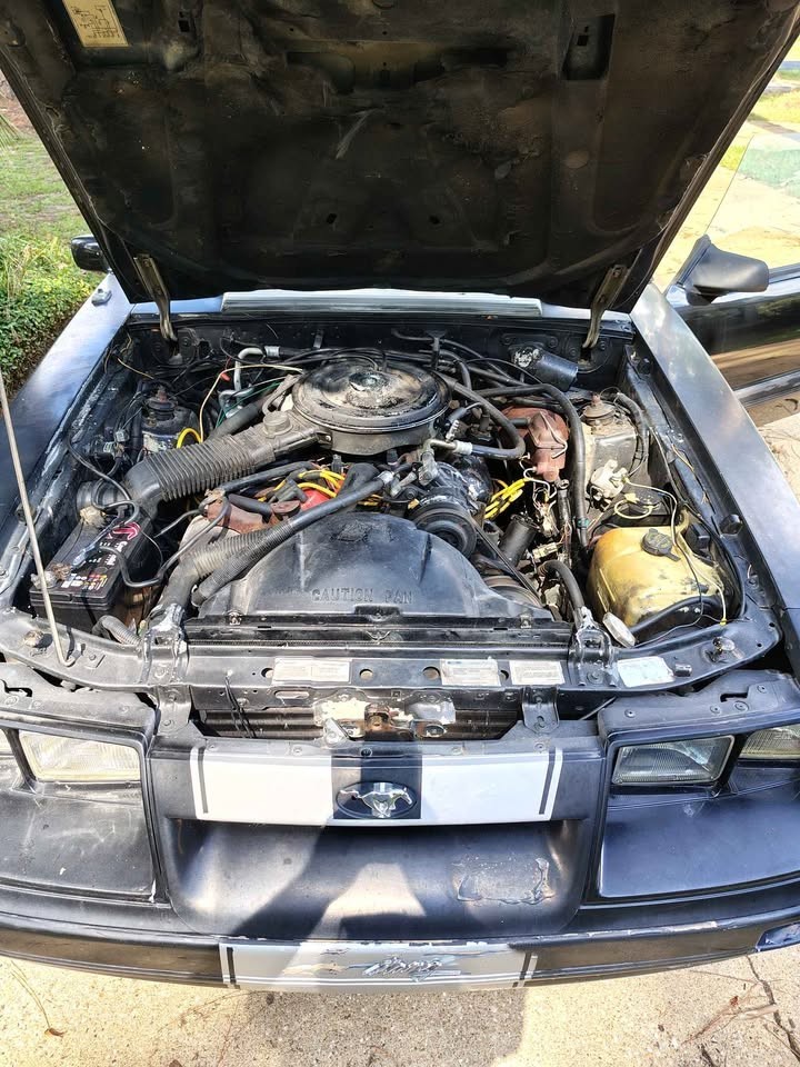 Ford-Mustang-1986-Convertible-4