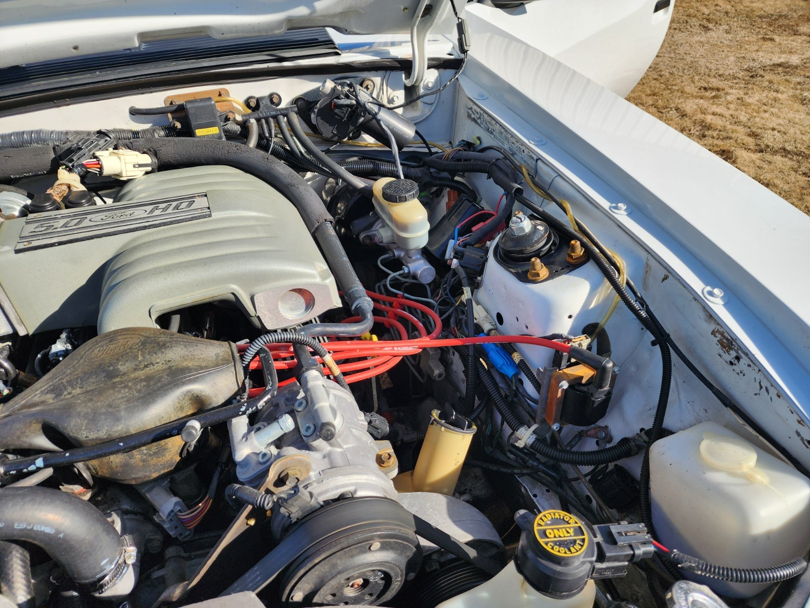 Ford-Mustang-1991-Hatchback-18