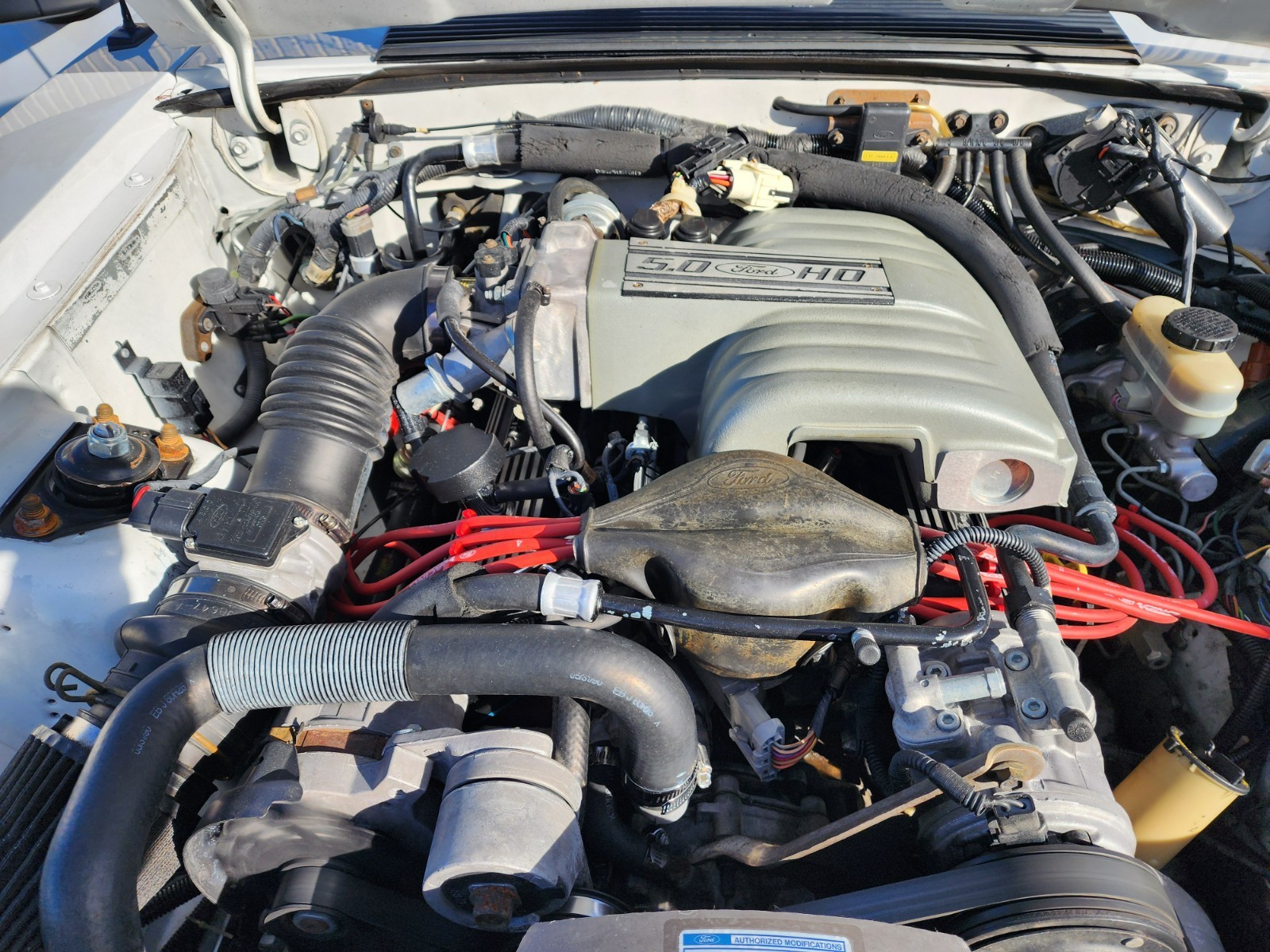 Ford-Mustang-1991-Hatchback-19