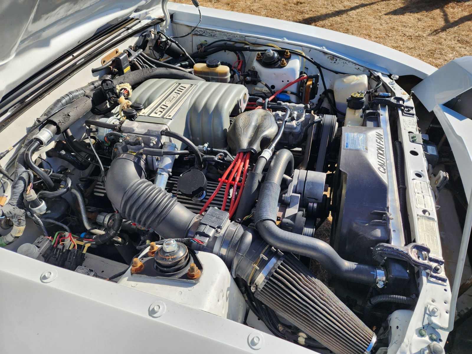 Ford-Mustang-1991-Hatchback-21