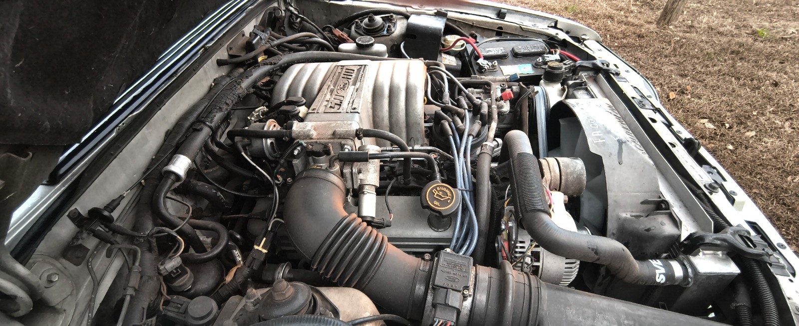 Ford-Mustang-1991-Hatchback