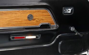 Ford-Other-1969-Pastel-Gray-Black-11