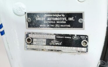 Ford-Other-1969-Pastel-Gray-Black-15