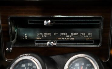 Ford-Other-1969-Pastel-Gray-Black-29