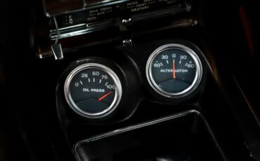 Ford-Other-1969-Pastel-Gray-Black-30