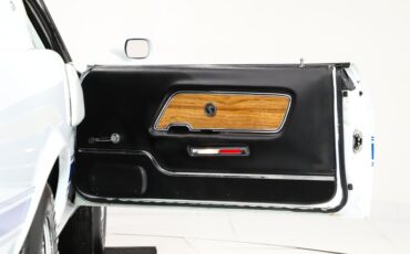 Ford-Other-1969-Pastel-Gray-Black-47