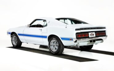 Ford-Other-1969-Pastel-Gray-Black-8