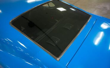 Ford-Other-1970-Grabber-Blue-Black-33