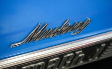 Ford-Other-1970-Grabber-Blue-Black-9