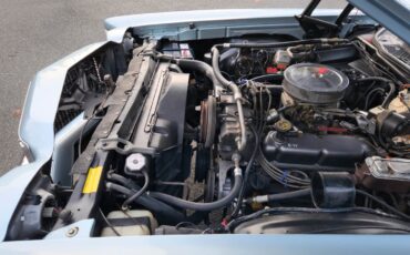 Ford-Ranchero-1978-19