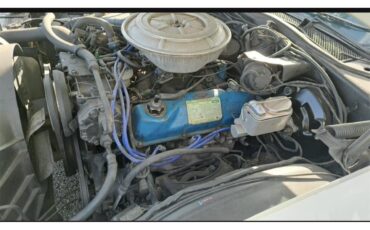 Ford-Ranchero-1978-White-Red-10