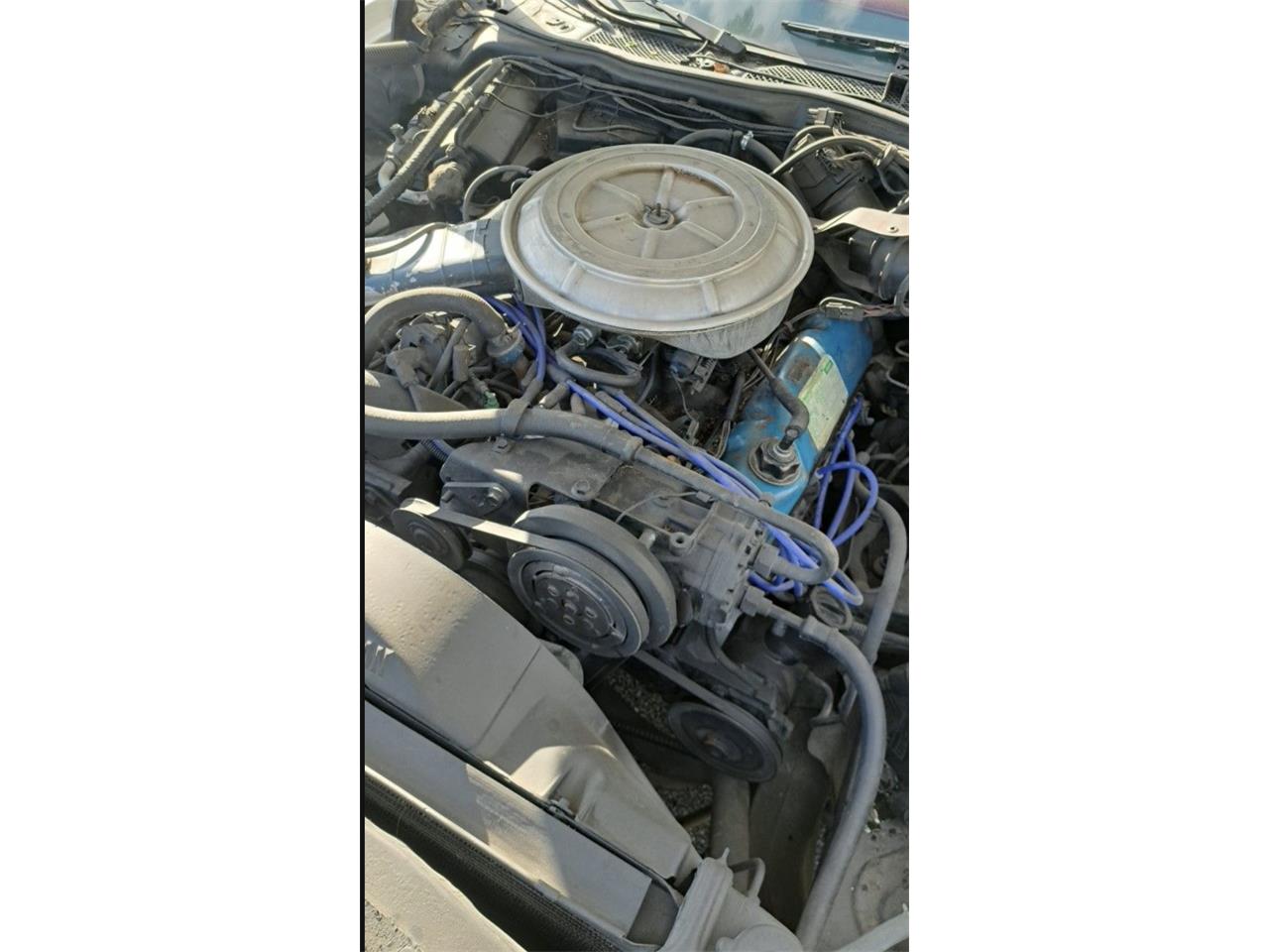 Ford-Ranchero-1978-White-Red-11