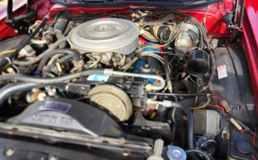 Ford-Ranchero-1979-28