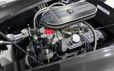 Ford-Shelby-Cobra-1966-Roadster-9