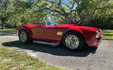 Ford-Shelby-Cobra-Kit-Car-1965-Coupe-1