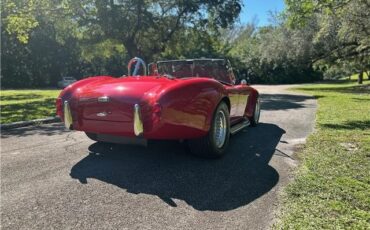 Ford-Shelby-Cobra-Kit-Car-1965-Coupe-11