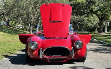 Ford-Shelby-Cobra-Kit-Car-1965-Coupe-12