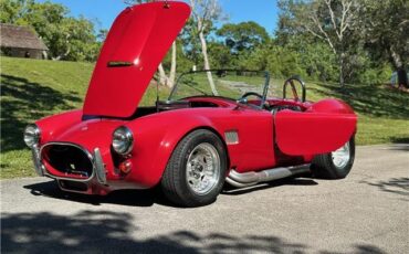 Ford-Shelby-Cobra-Kit-Car-1965-Coupe-13