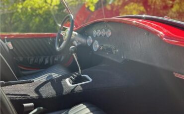 Ford-Shelby-Cobra-Kit-Car-1965-Coupe-19