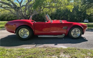 Ford-Shelby-Cobra-Kit-Car-1965-Coupe-2
