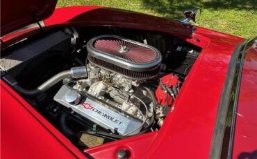 Ford-Shelby-Cobra-Kit-Car-1965-Coupe-24