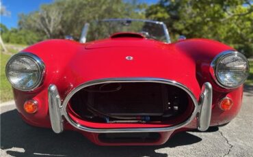 Ford-Shelby-Cobra-Kit-Car-1965-Coupe-3