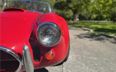 Ford-Shelby-Cobra-Kit-Car-1965-Coupe-31