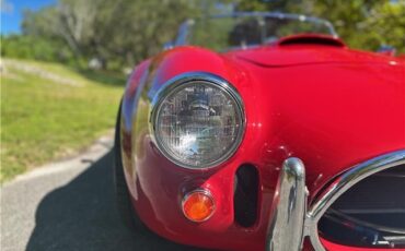 Ford-Shelby-Cobra-Kit-Car-1965-Coupe-32