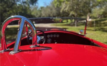 Ford-Shelby-Cobra-Kit-Car-1965-Coupe-33