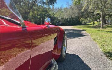 Ford-Shelby-Cobra-Kit-Car-1965-Coupe-35