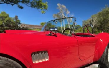 Ford-Shelby-Cobra-Kit-Car-1965-Coupe-36