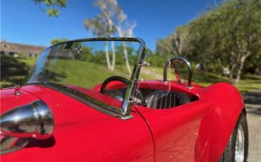 Ford-Shelby-Cobra-Kit-Car-1965-Coupe-37