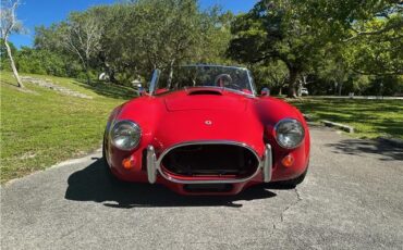 Ford-Shelby-Cobra-Kit-Car-1965-Coupe-4