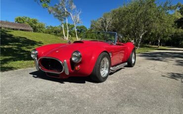 Ford-Shelby-Cobra-Kit-Car-1965-Coupe-5