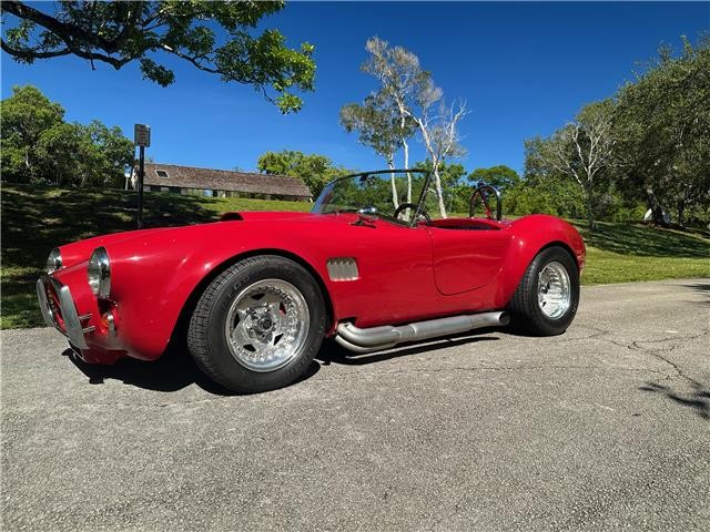 Ford-Shelby-Cobra-Kit-Car-1965-Coupe-6