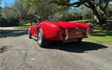 Ford-Shelby-Cobra-Kit-Car-1965-Coupe-8