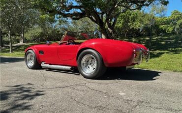 Ford-Shelby-Cobra-Kit-Car-1965-Coupe-9