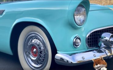 Ford-T-Bird-1955-Convertible-16